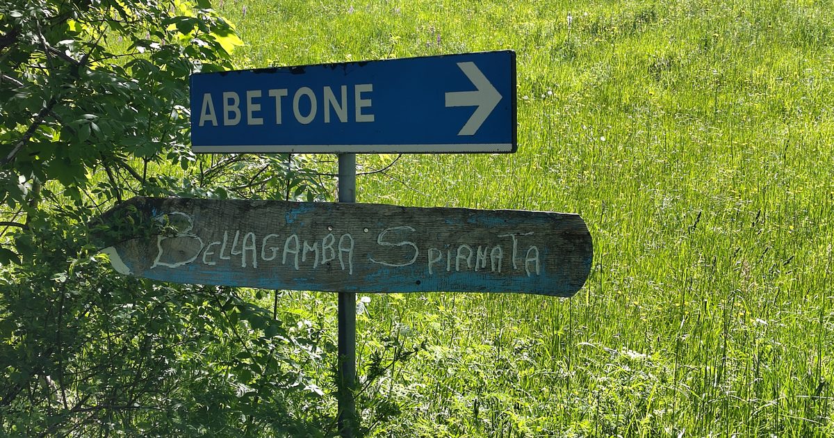 Signpost with arrows pointing down different paths